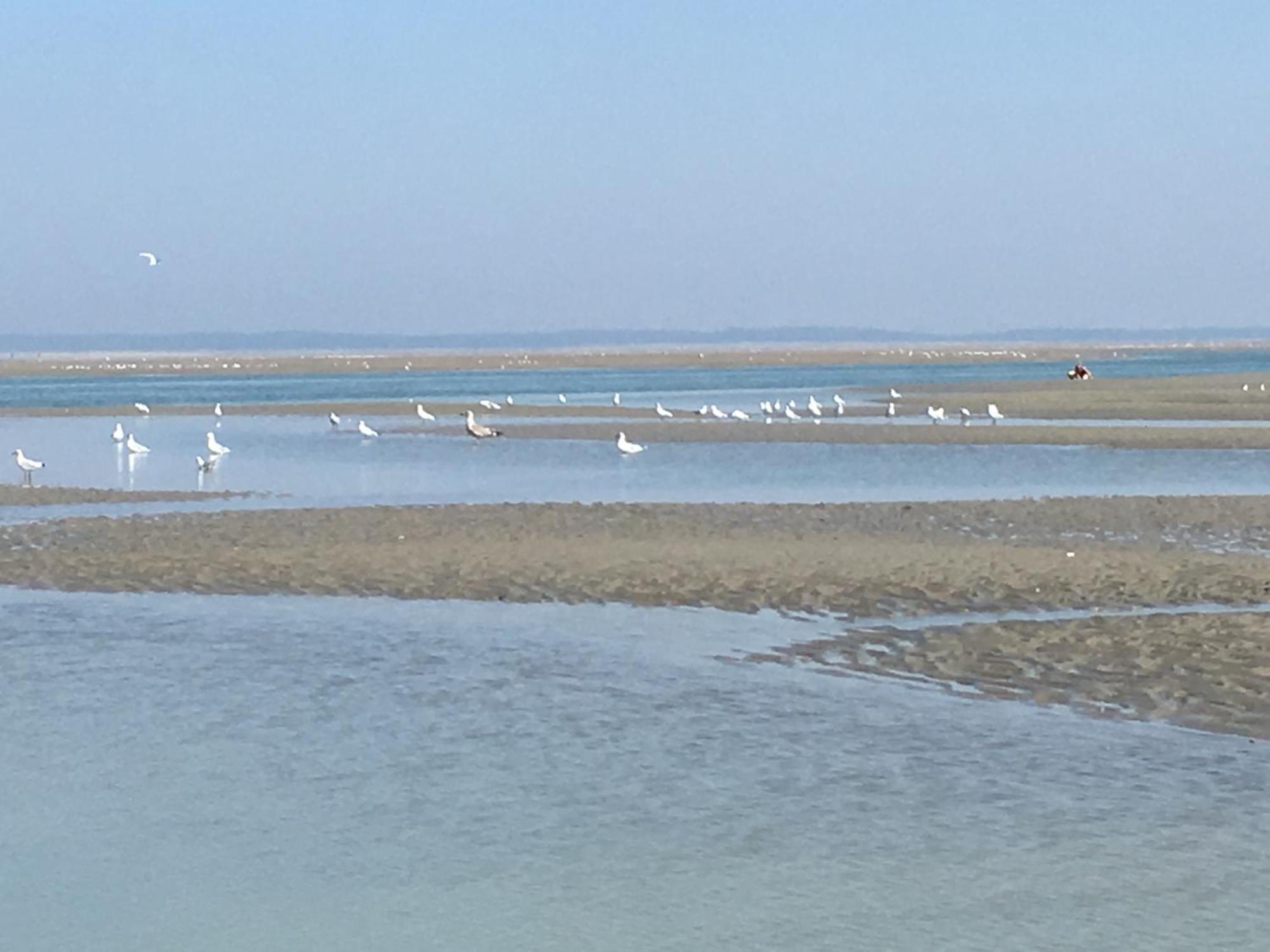 Maison De Pecheur Renovee A 3 Mn De La Mer. Cayeux-sur-Mer Bagian luar foto