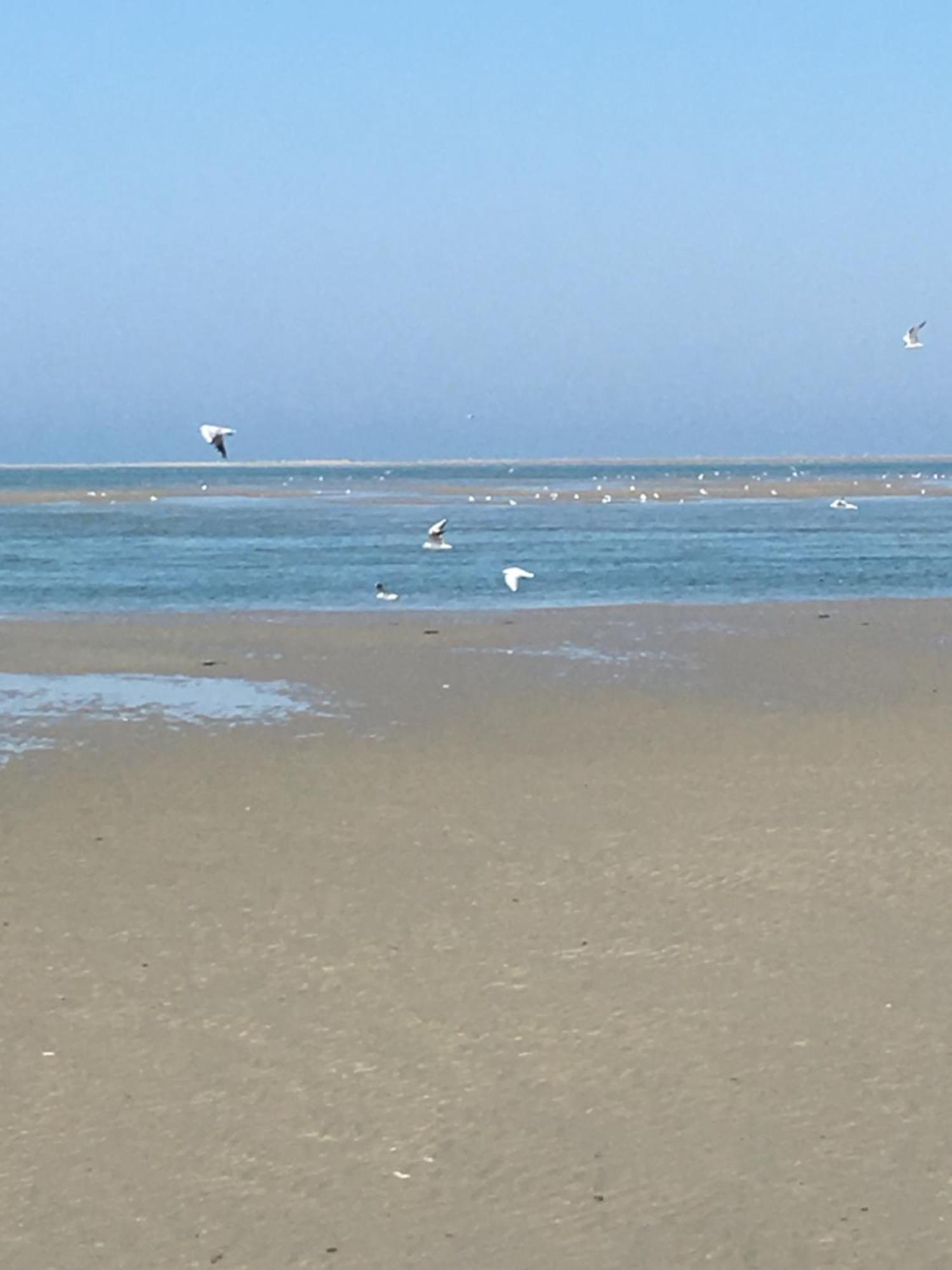 Maison De Pecheur Renovee A 3 Mn De La Mer. Cayeux-sur-Mer Bagian luar foto