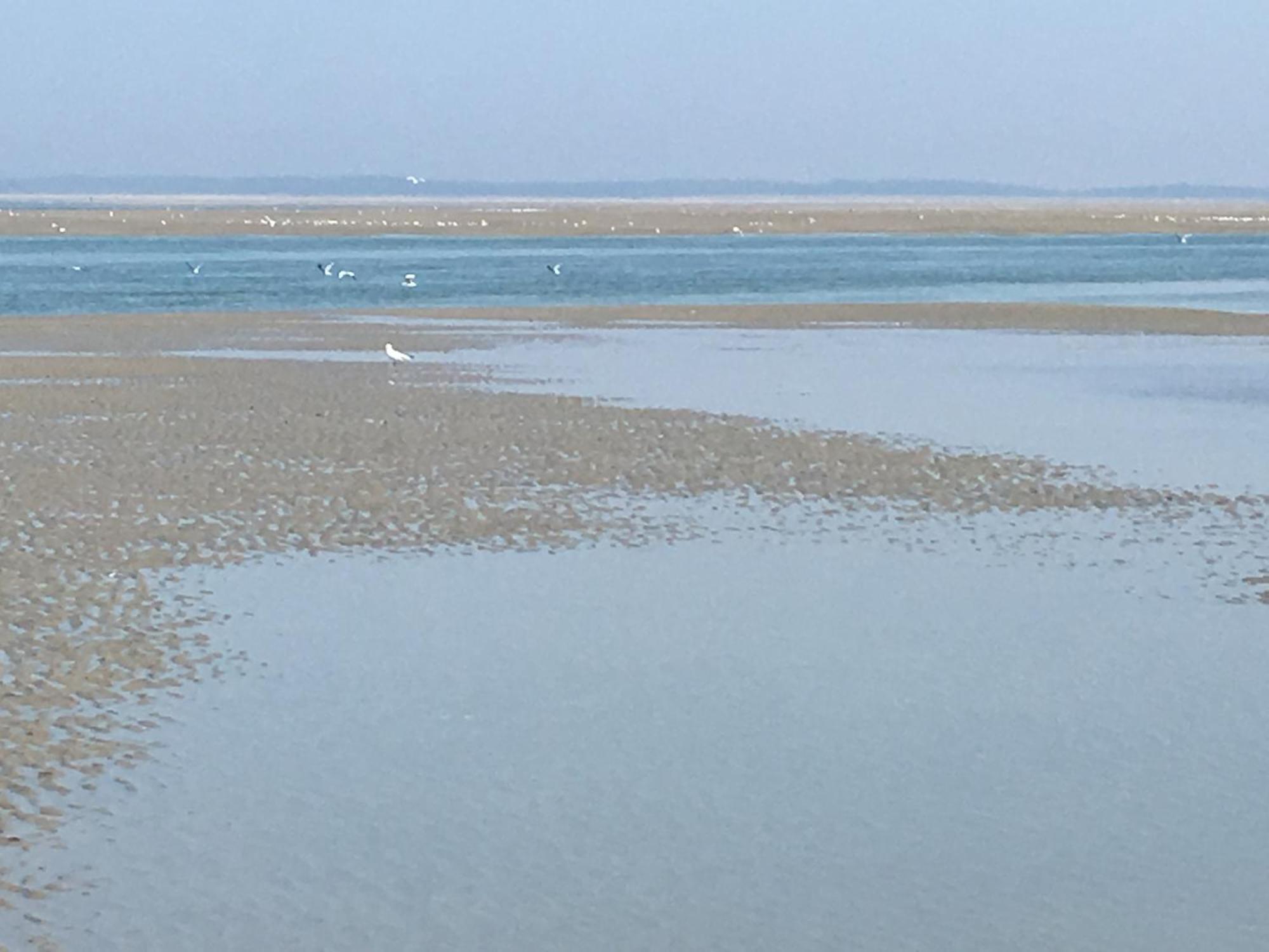 Maison De Pecheur Renovee A 3 Mn De La Mer. Cayeux-sur-Mer Bagian luar foto
